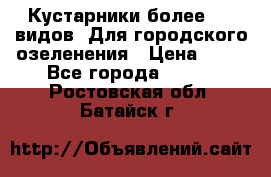 Кустарники более 100 видов. Для городского озеленения › Цена ­ 70 - Все города  »    . Ростовская обл.,Батайск г.